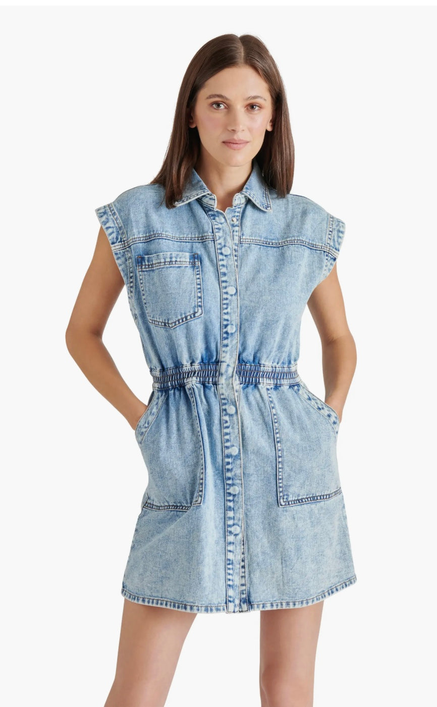 Robbie Dress