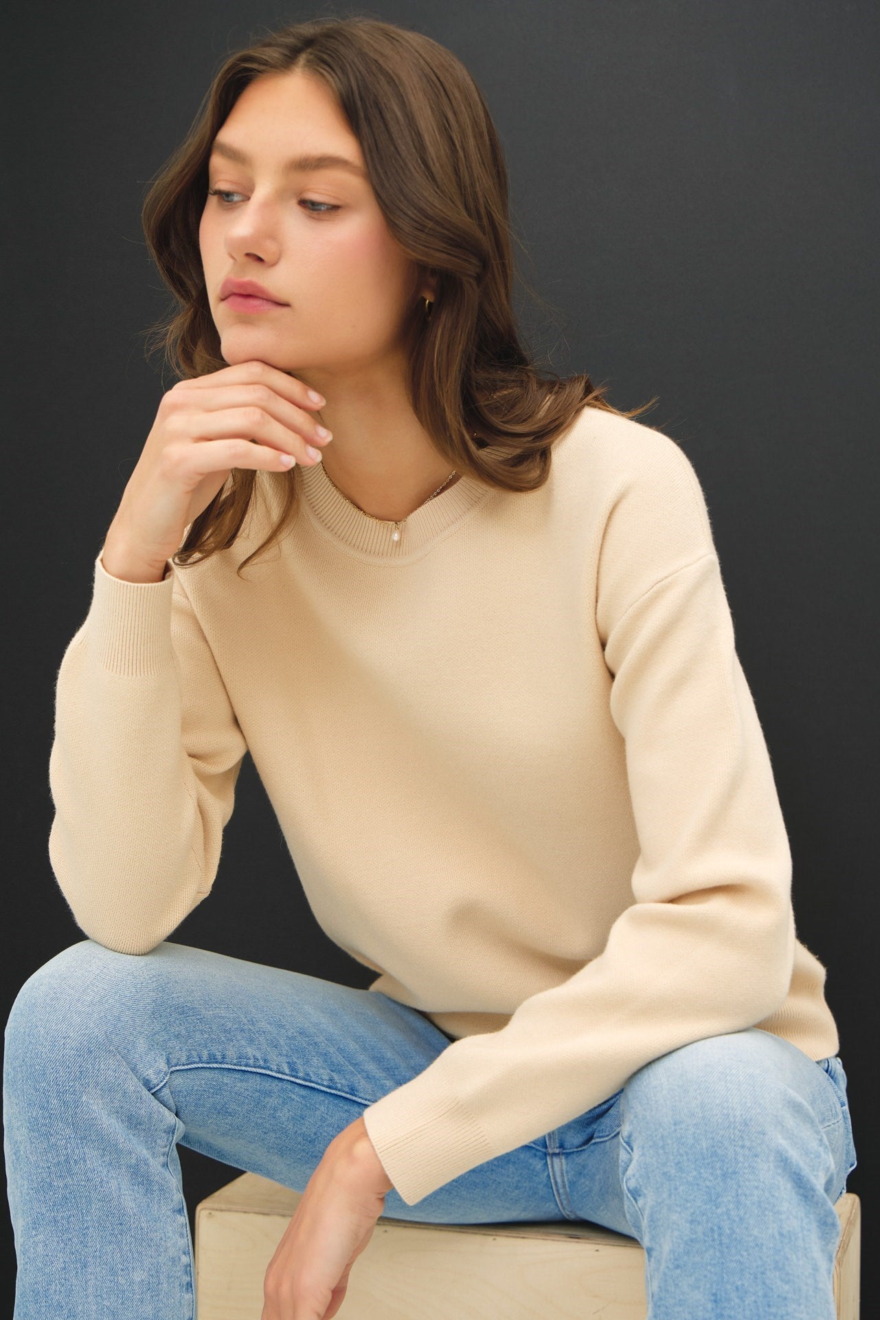 Logen Sweater- Beige