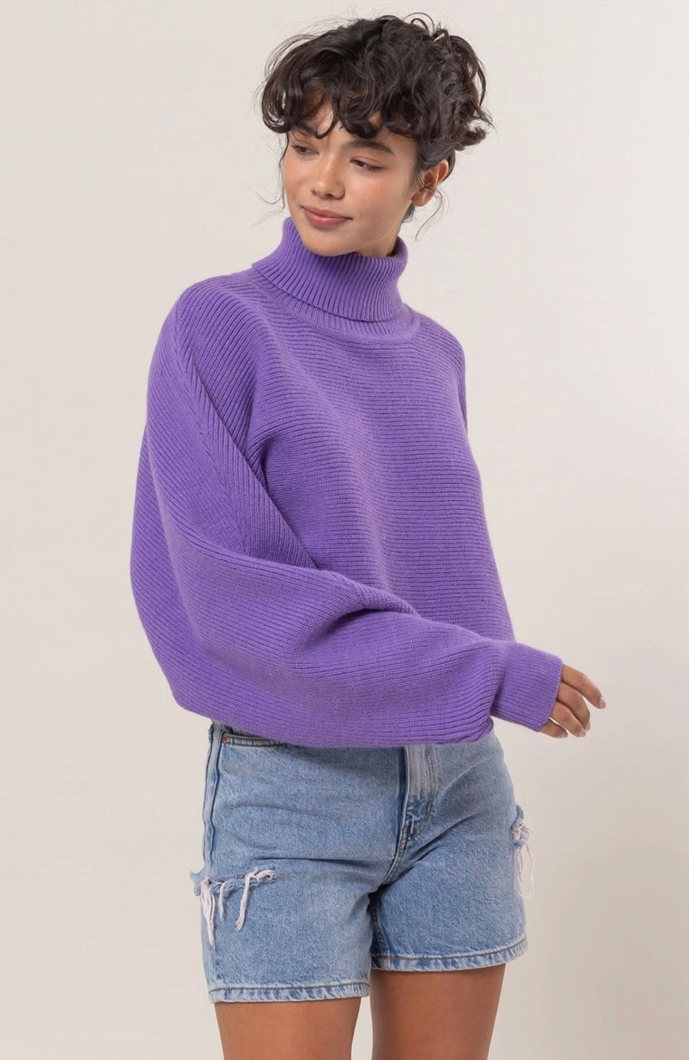 Julia Turtleneck Crop Sweater