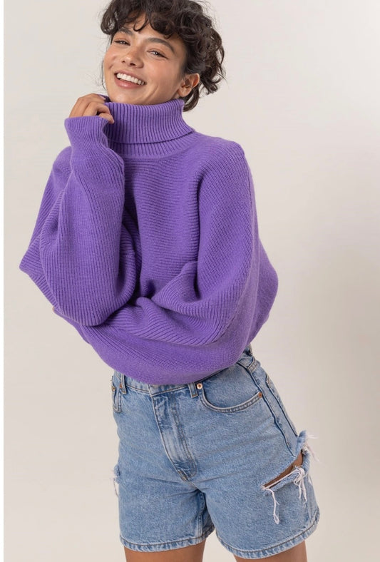 Julia Turtleneck Crop Sweater