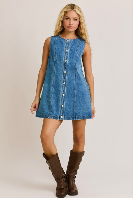 Kiley Denim Dress