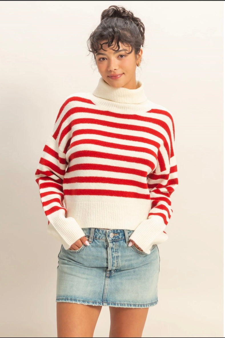 Tanner Turtleneck Sweater