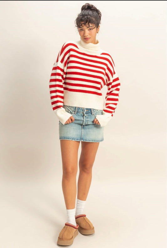 Tanner Turtleneck Sweater