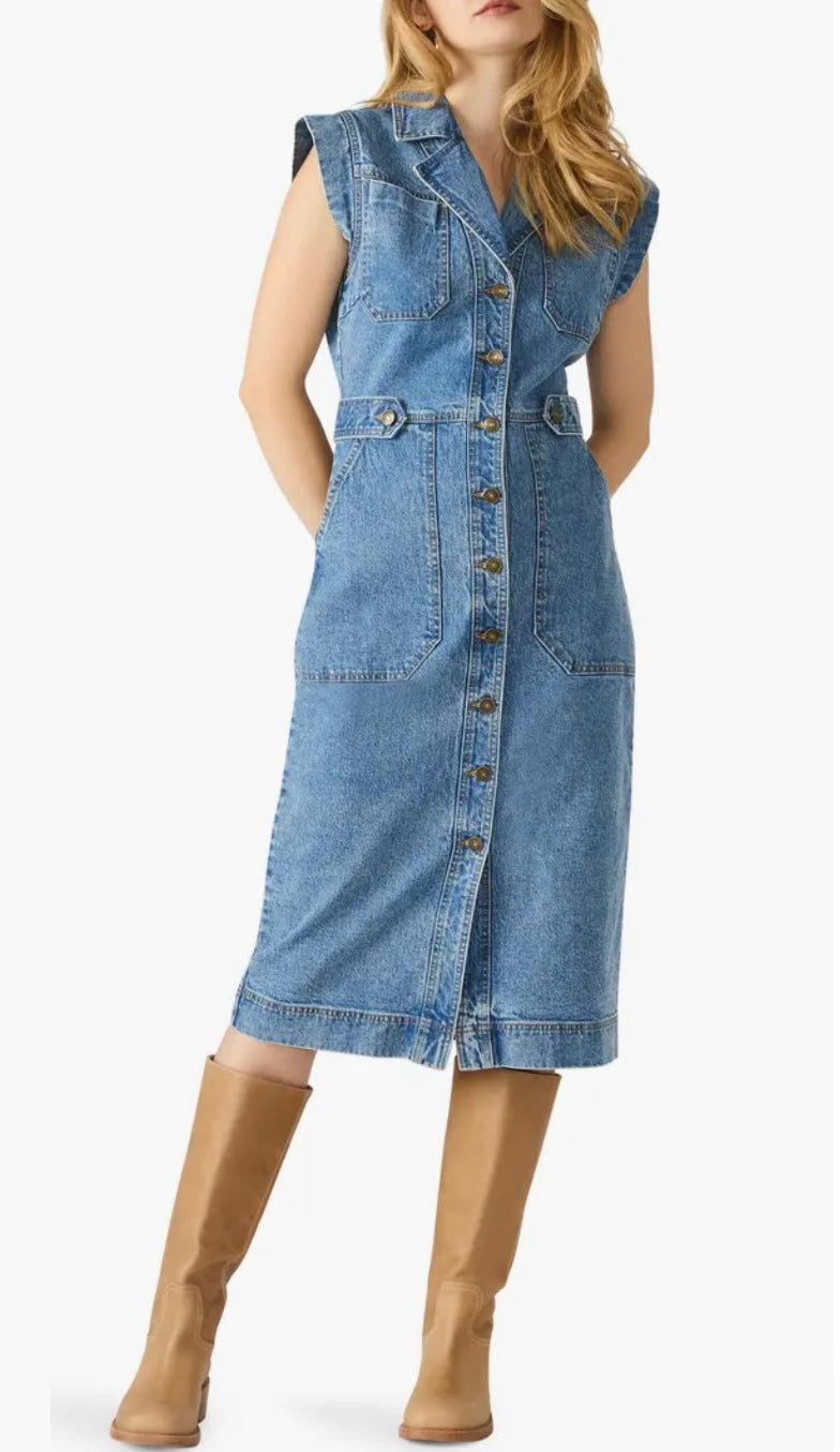 Julieta Denim Dress
